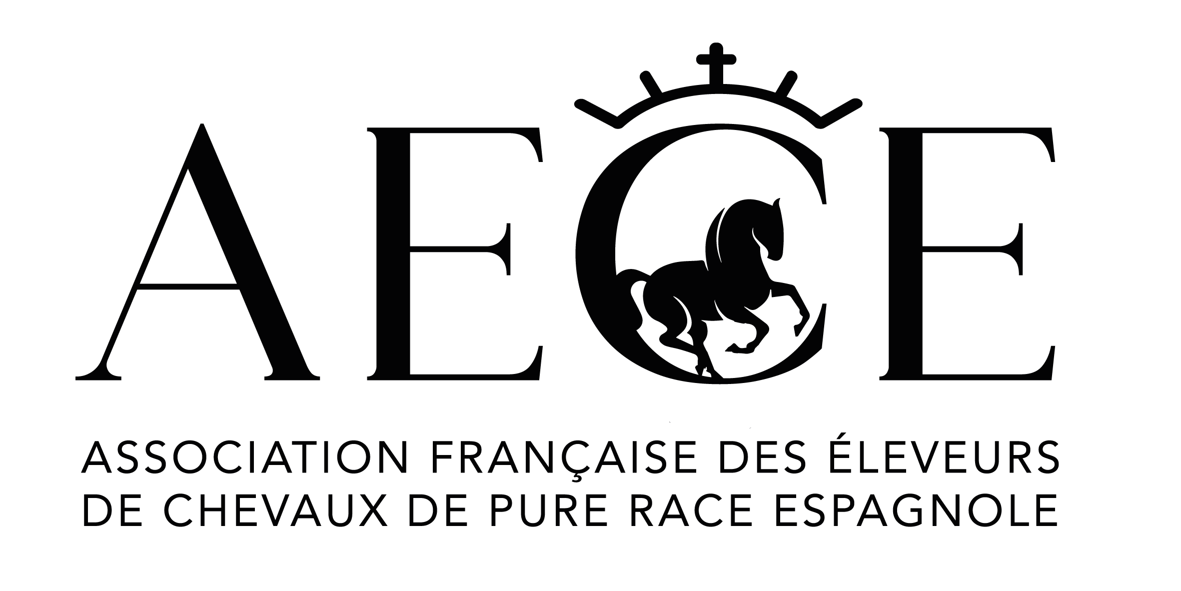 AECE Logo
