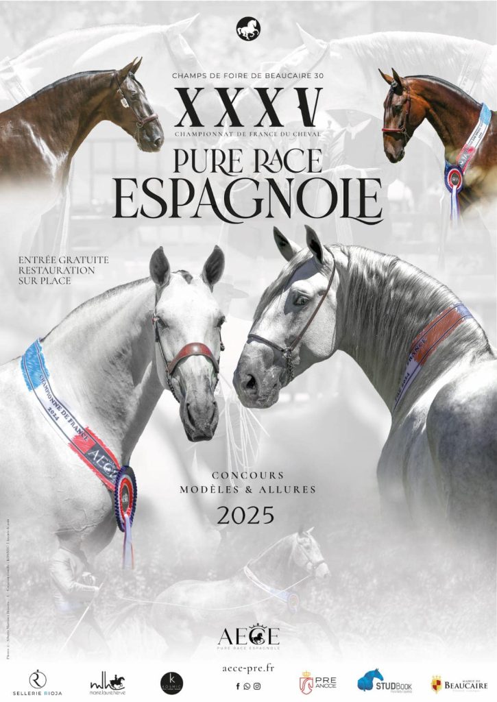 Beaucaire 2025