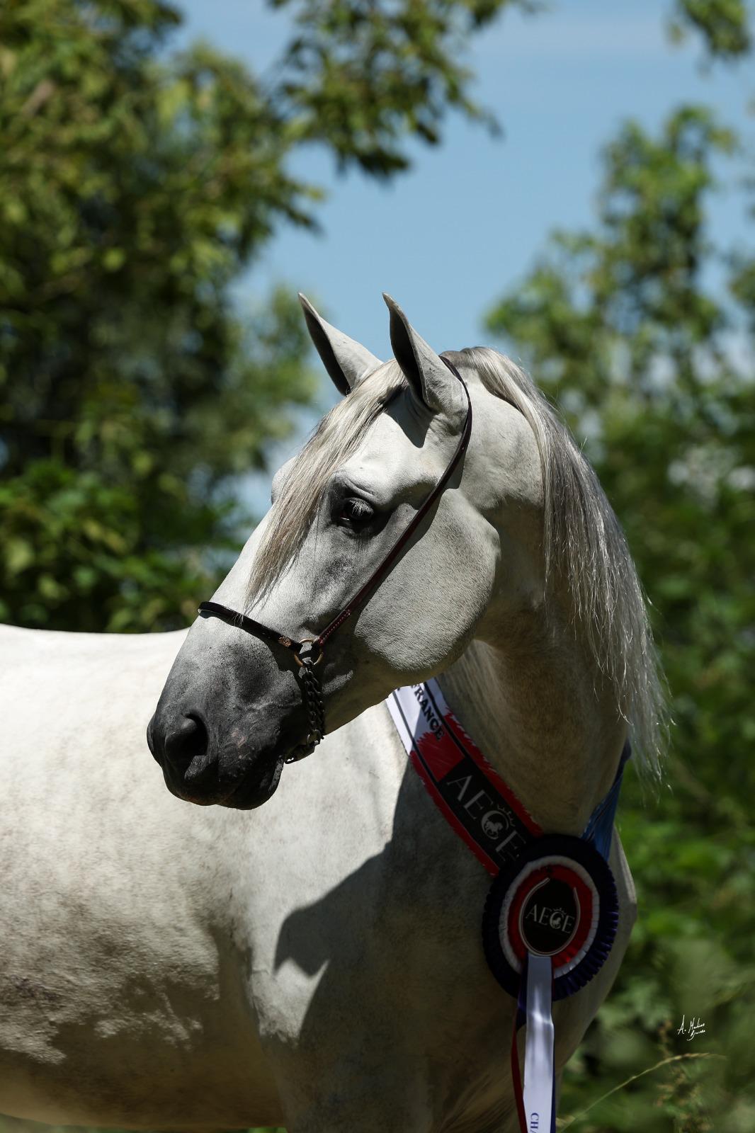 Adhésion AECE & Assemblée Générale 2026