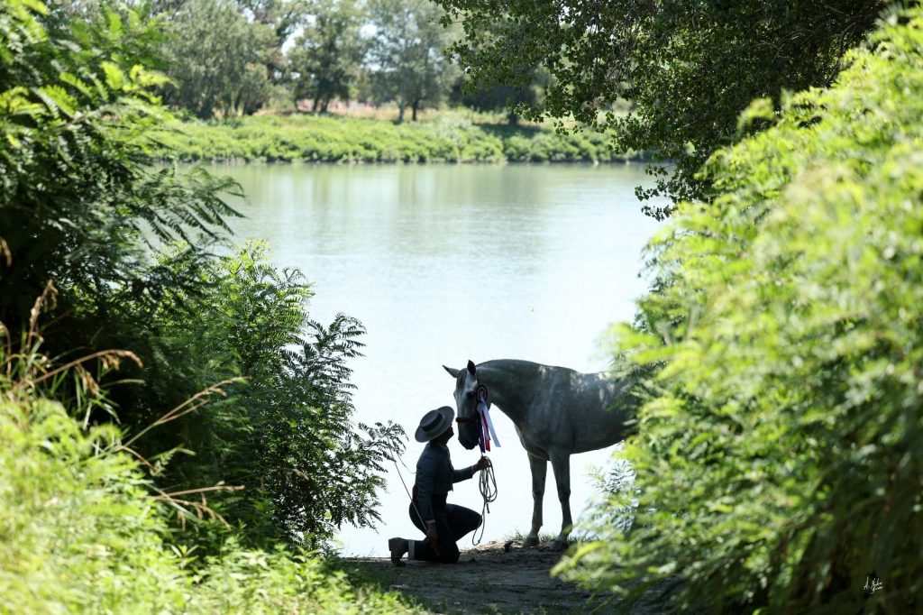 Beaucaire 2026 : Dernier jour pour engager vos chevaux au tarif préférentiel !