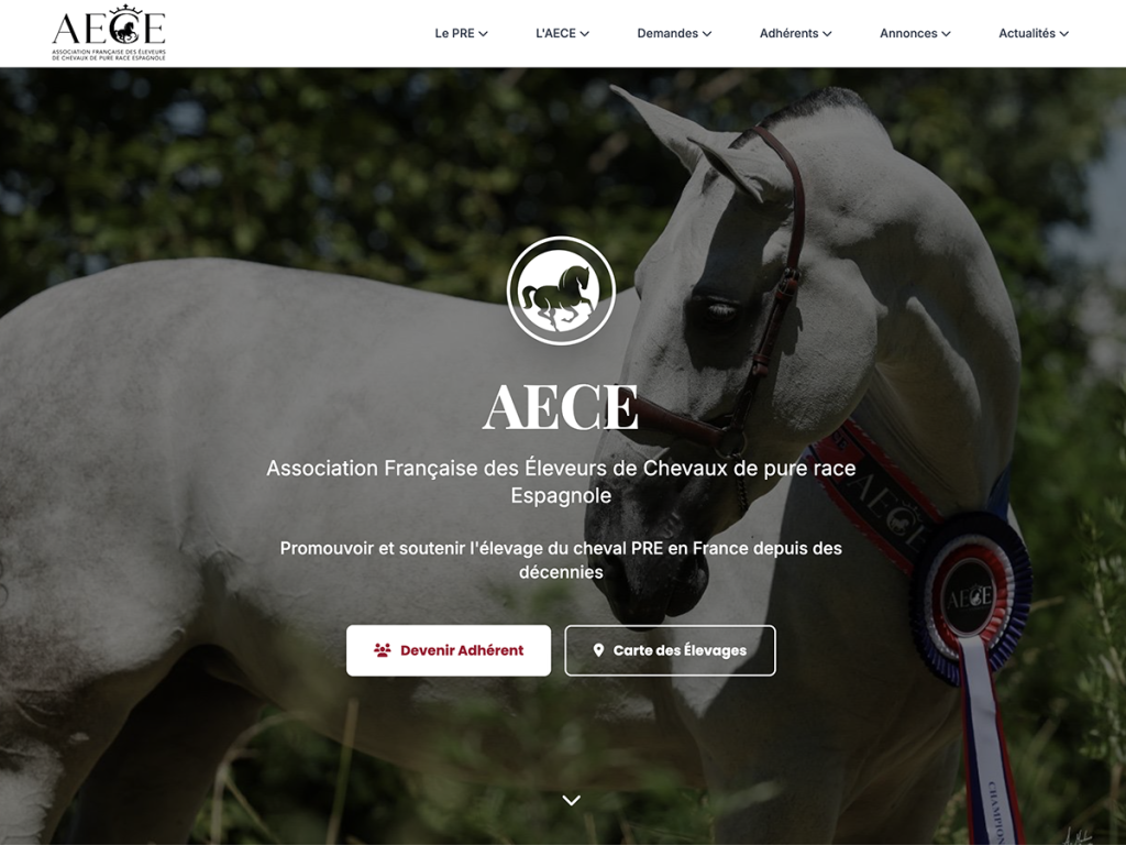 Nouvelle version du site de l’AECE
