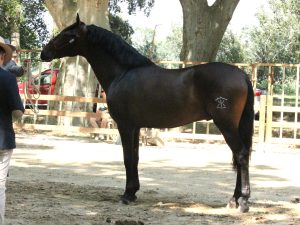 UTRERANO K