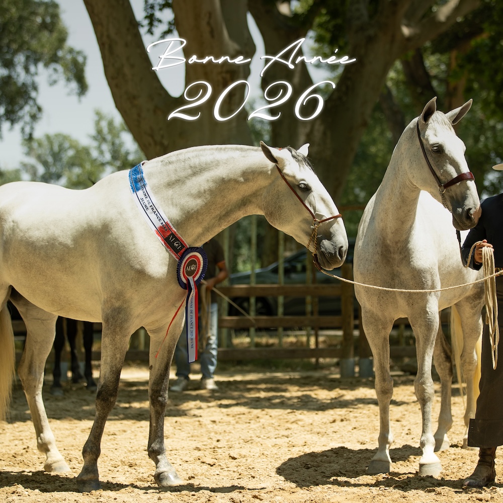 💥 Adhésion 2026 : C'est parti !