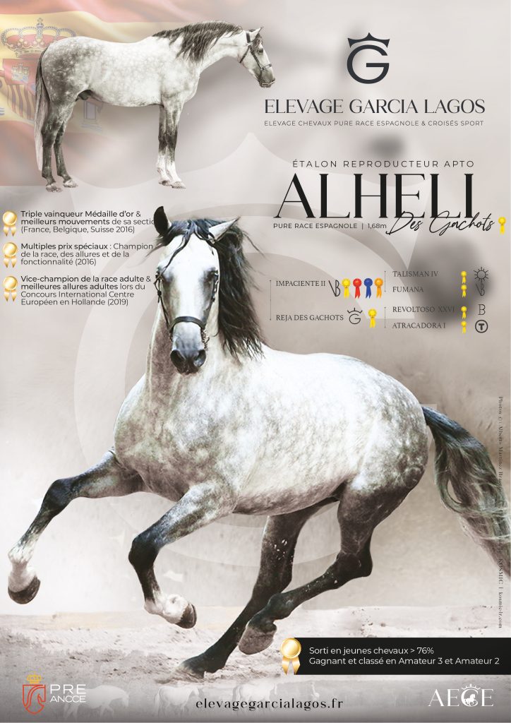 Race, chic et locomotion