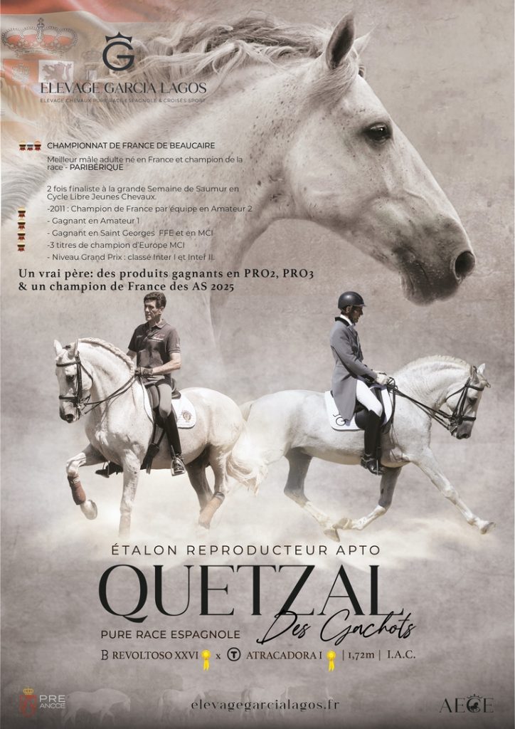 Performer en dressage et père de champions. Un mental en or.