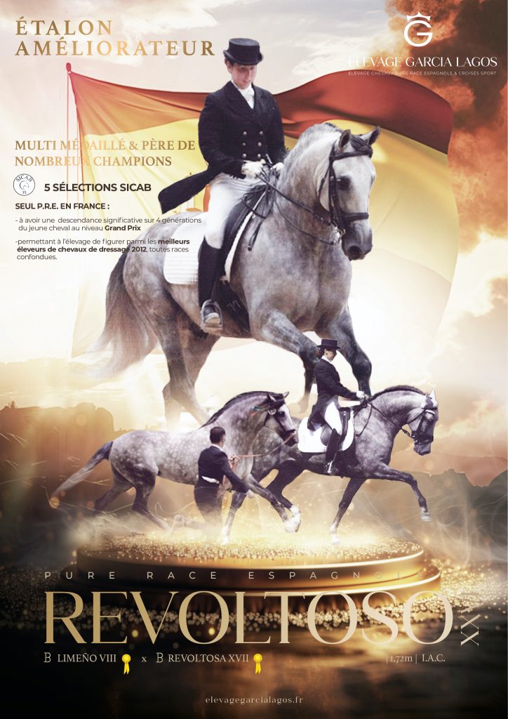 Incontournable au vu de sa descendance en dressage du jeune cheval au niveau Grand Prix