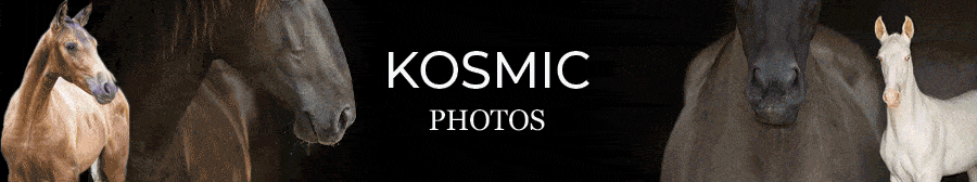 Kosmic